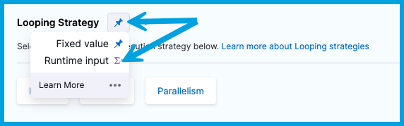Selecting runtime input for the looping strategy.